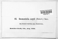 Image Associated With the Occurence